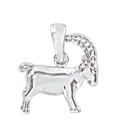 Pendant Zodiac sign Capricorn 