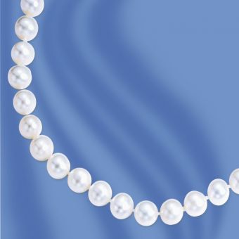 Pearl necklace with silver clasp 50 cm